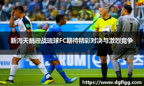 新泻天鹅迎战琉球FC期待精彩对决与激烈竞争