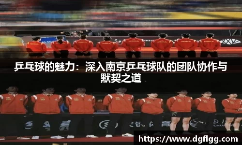 乒乓球的魅力：深入南京乒乓球队的团队协作与默契之道